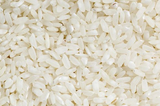 White rice background and texture. Rice grain. View from above. Close-up