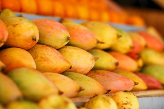 Rows of ripe mangoes in close-up yellow-red color, lie on the market stall