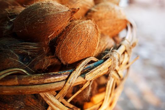 Coconuts in a wicker basket of brown color with fibers lit by sunlight. Stack on the market