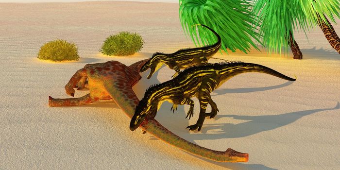 Torvosaurus attacks Diplodocus