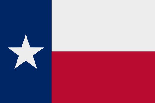 The flag of Texas vector illustration. US state