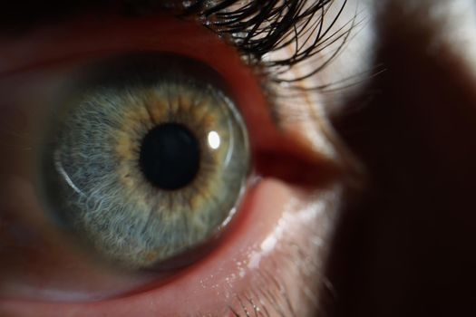 Persons eye, macro shot of female sight organ, beautiful green eye colour