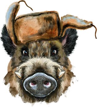 Watercolor portrait of wild boar in hat with ear flaps