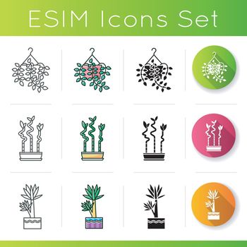 Indoor plants icons set. Houseplants. Domesticated ornamental plants. Yucca, lucky bamboo. Pothos. Linear, black and RGB color styles. Linear black and RGB color styles. Isolated vector illustrationss