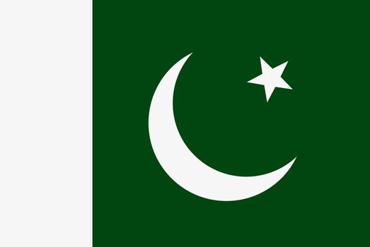 Pakistani flag vector icon. The flag of Pakistan