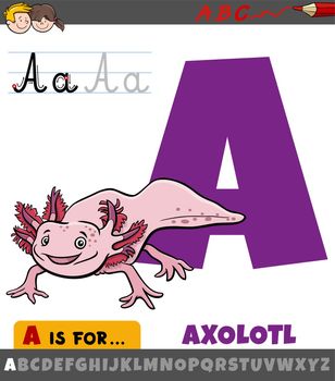 letter A from alphabet with cartoon axolotl animal