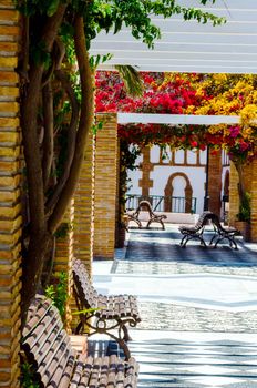 closeup on a beautiful arbor covered with climbing plants with colorful flowers, relax place