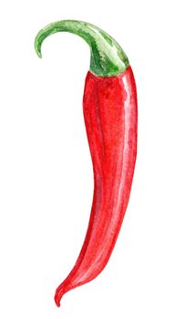 watercolor red chili pepper isolated on white background. spicy hot