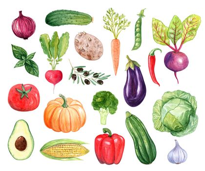 Watercolor vegetables set isolated on white background.