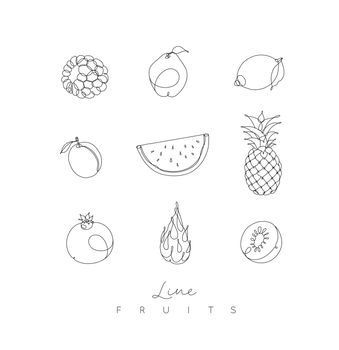 Fruit icons in pen line style