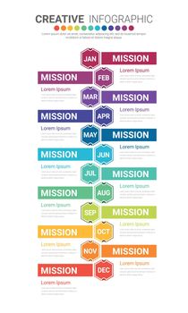 Timeline for 1 year, 12 months, infographics all month planner design 