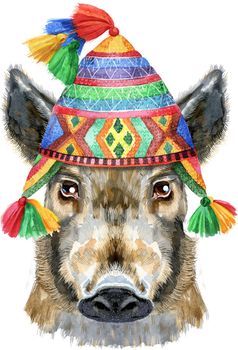 Watercolor portrait of wild boar in Peruvian chulo hat