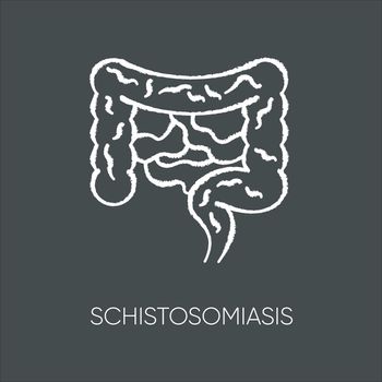 Schistosomiasis chalk white icon on black background. Viral gastroenterological disease, endemic infectious illness. Human digestive system, guts isolated vector chalkboard illustration