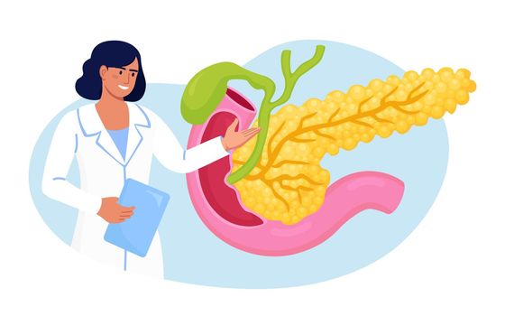 Pancreatitis concept. Gastroenterologist diagnose pancreas inflammation. Doctor examine patient. Digestive system disease treatment. Internal organs cancer