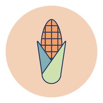 Corncob vector icon. Vegetable symbol