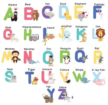 Cute Animal Alphabets  for kids education set vector