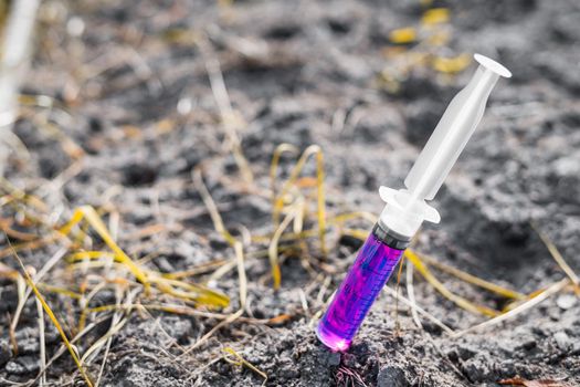 A syringe with an unusual glowing pink liquid is stuck in the ground with yellow plants