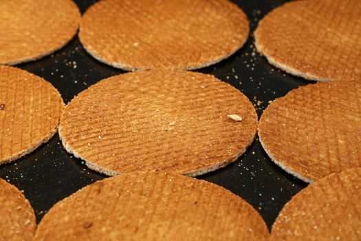 Dutch stroopwafel waffles cookies on baking pan