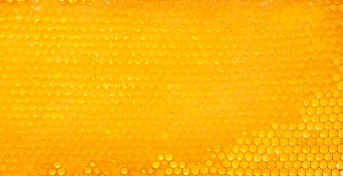Fresh comb honey background texture