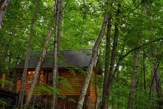 Image of Lodge standing in the forest