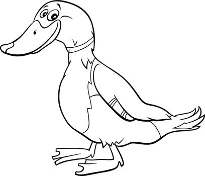 cartoon wild duck bird animal character coloring book page
