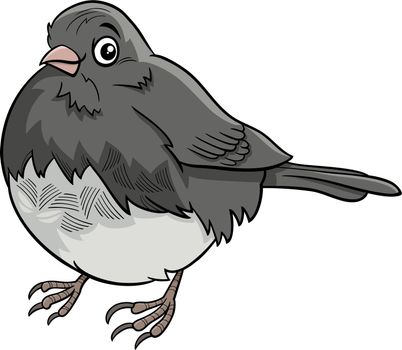 junco bird animal character cartoon illustration
