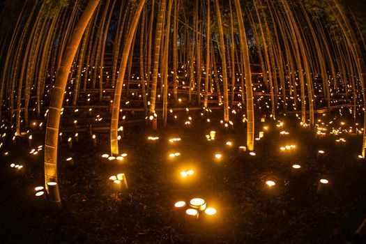 Bamboo Light Up (Koishi Castle Citizen Forest)