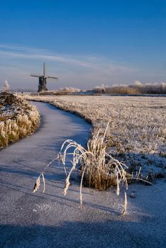 Frozen pond with riped reed near Streefkerk