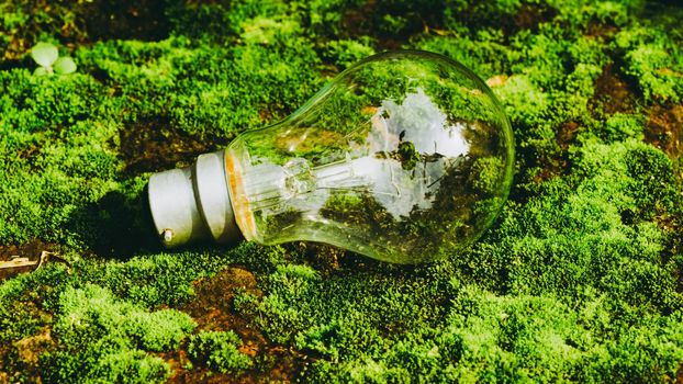 A fluorescent light bulb in sunlight on green nature background. Green business, economy, eco-industries start up ideas innovation background . Go Green to minimize human impact on environment concept
