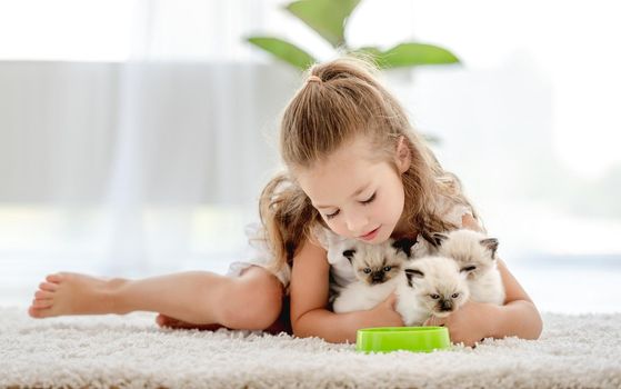 Pretty child girl feeding ragdoll kittens from bowl and hugging them. Little female person cares about kitty pets at home