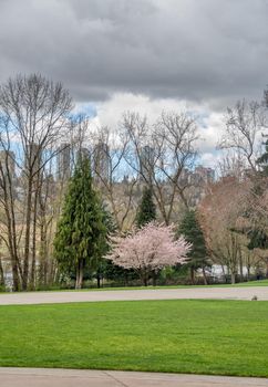 View over Deer Lake park in Vancouver on early spring season