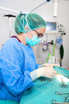 Surgery operation. Close up of surgeon hands stitching the wound after operating. Surgical treatment concept. Surgeon hands performing operation with surgery tools