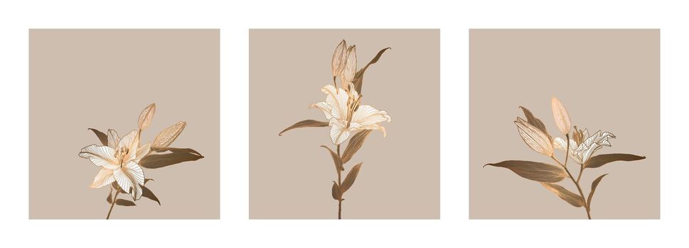A set of frames of lily flowers drawings with bronze metallic outline colored in neutral brown, white, pink