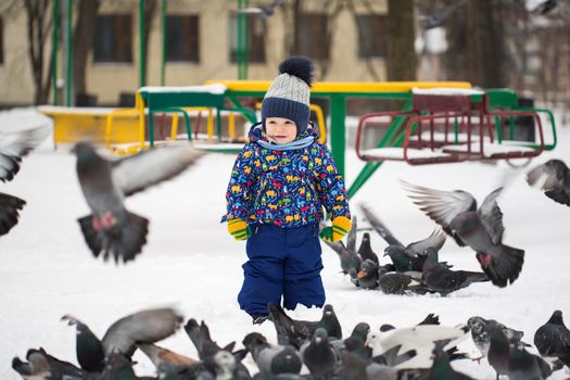 Little pretty boy feeds birds in winter snow park outdoor.