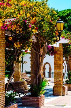 closeup on a beautiful arbor covered with climbing plants with colorful flowers, relax place
