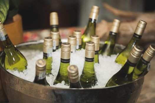 Glass bottles of wine in an ice bucket