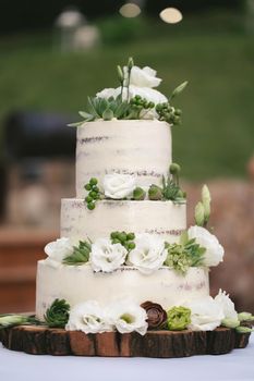 Beautiful wedding cake for newlyweds at a rustic wedding. A festive cake in the forest style on a wooden frame substrate