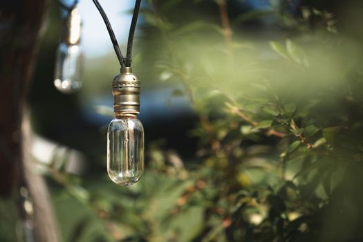 Burning light bulb hanging from a tree in a garden decoration wedding celebration.