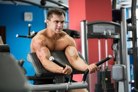 Exercise For Biceps. Young Bodybuilder Doing Heavy Weight Exercise For Biceps.