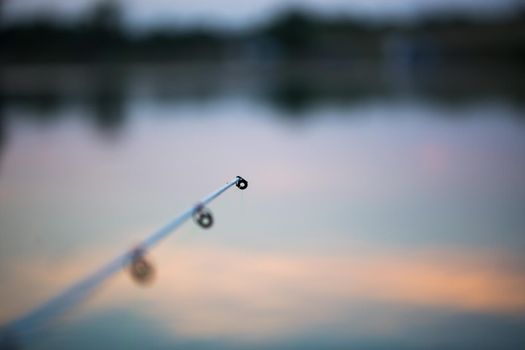 Freshwater fishing with fishing rods on the shore of the pond, lake.