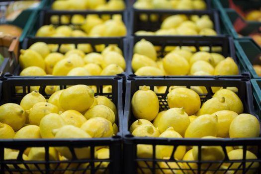 lemons are on display in boxes in the supermarket.