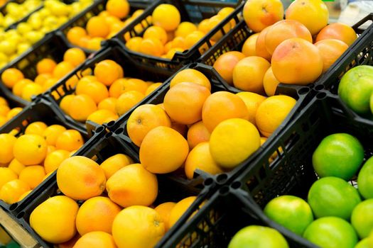 Fresh citrus are on the shelf in the store. a variety of citrus fruits. oranges, tangerines, lime, lemons. supermarket.