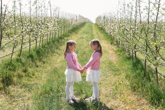 Happy twin sisters look at each other and hold hands against the background of a green blooming Apple orchard