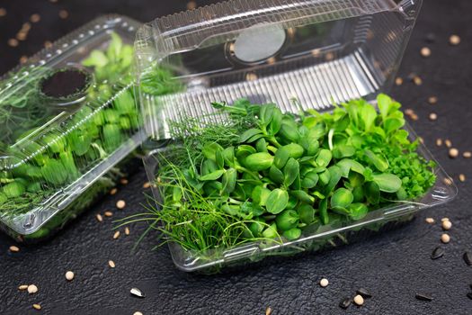Assortment of micro-greens in the box. Mix