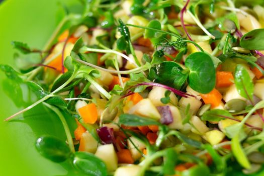 Vitamin salad with vegetables and microgrin on a green plate.