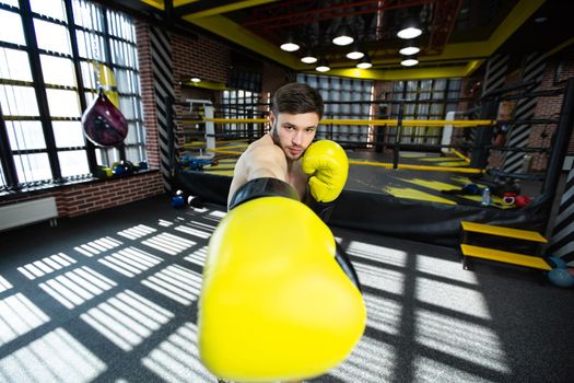 The assembled athlete in the boxing gym practices boxing punches during training and looks at the camera.