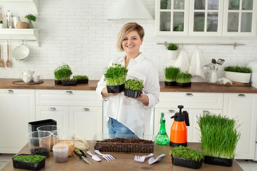 Microgreen in female hands, raw food, ecofrendli, superfood. Organic food growing, home kitchen gardening, microgreen