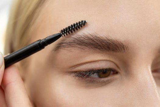 Closeup beautiful woman with eyebrow brush tool, makeup artist combs eyebrows close up