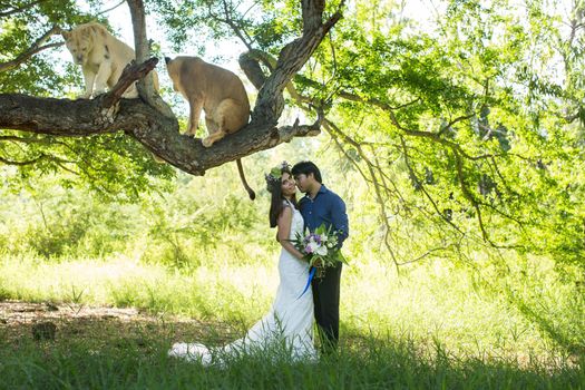 Beautiful bride and groom with two lionesses in nature.