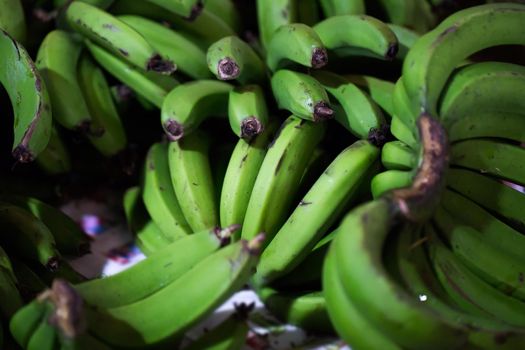 Green bananas in the Indian market in Mauritius
